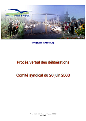 D�liberations comit� syndical 20.06.2008.pdf