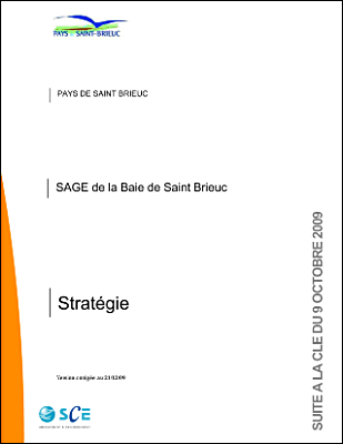 Stratgie - SAGE Baie de Saint-Brieuc - valide le 09.10.09.pdf