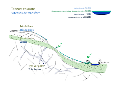 Transferts d'azote - principes d'action projet de territoire.pdf