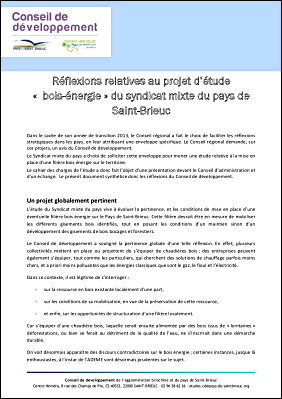 Synthse des rflexions sur l'tude bois nergie - 2013.pdf