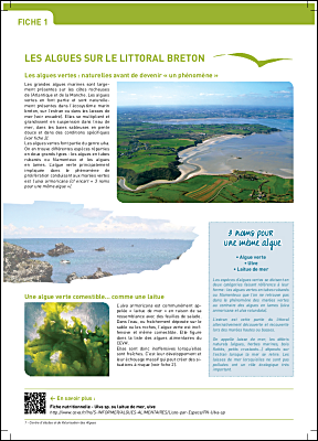 fiche 1 Les algues vertes sur le littoral breton.pdf