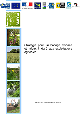 Annexe 6 - Stratgie bocagre 2015-20120 Ic et cotiers - SMEGA.pdf