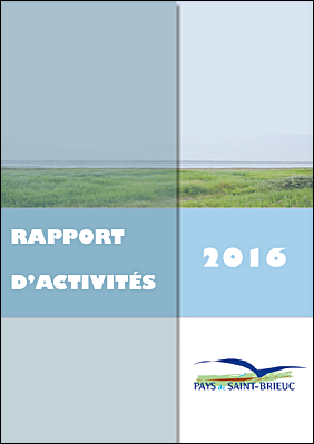 Rapport d'activit 2016.pdf