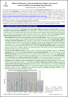 info MV au 19 06 2019.pdf