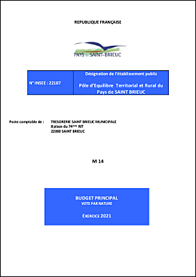 Budget Primitif 2021.pdf