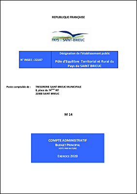 CA  2020 Budget principal.pdf