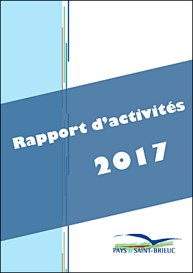Rapport dactivit 2017 .pdf