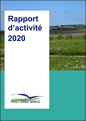 Rapport dactivit 2020.pdf