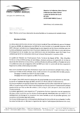 DP2021.04 Dpt plainte destruction ZH Marou exe.pdf