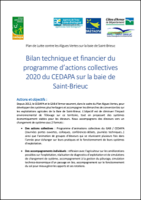 Bilan actions collectives PAV BSB 2020 CEDAPA.pdf