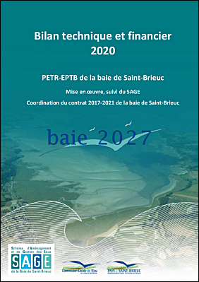 Bilan annuel 2020.pdf