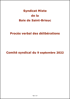 PV Comit� Syndical du 9 septembre temporaire.pdf