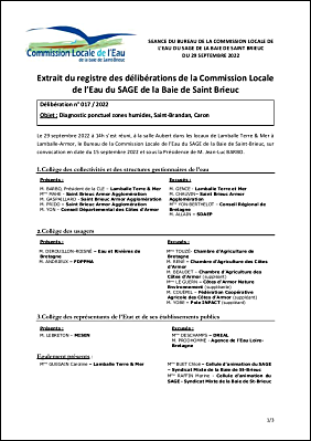BC-2022-017 Avis de la CLE Diagnostic ponctuel ZH Saint Brandan Caron.pdf