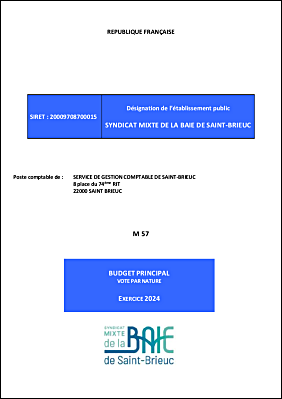 Budget Primitif 2024.pdf