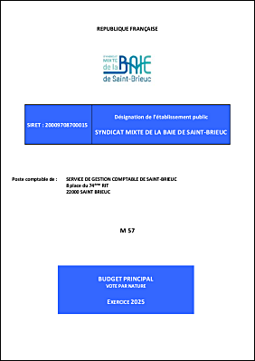 Budget Primitif 2025.pdf