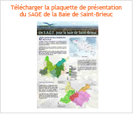 Bouton clic téléchargement plaquette SAGE