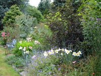 photo jardin fleuri