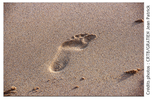 photo trace dans le sable - CRTB GRATIEN Jean Patrick